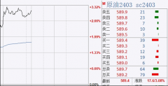 IEA和欧佩克两大组织在长期需求和投资的必要性