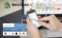只需在工具栏上点击新订单(NewOrder)即可打开订单
