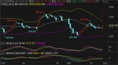 实用的黄金投资指南—FXCG原油期货一手几吨