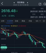 黄金投资我却赚钱了2025年1月3日