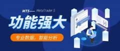 构建了多层次的资金安全体系，安卓手机版mt4下