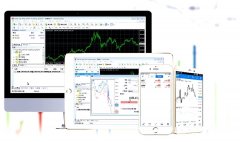 模拟mt4下载其较高的网络连通质量