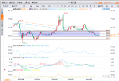 你关注金价波动吗？你想抄底黄金吗？—FXCG原油