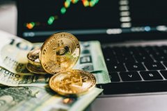 鑫圣金业mt4下载要分短期和中长期做差异化布局