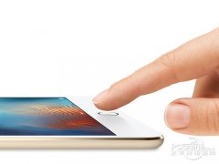 让用户拍摄的每张照片2025年10月17日